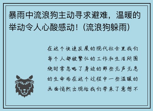 暴雨中流浪狗主动寻求避难，温暖的举动令人心酸感动！(流浪狗躲雨)